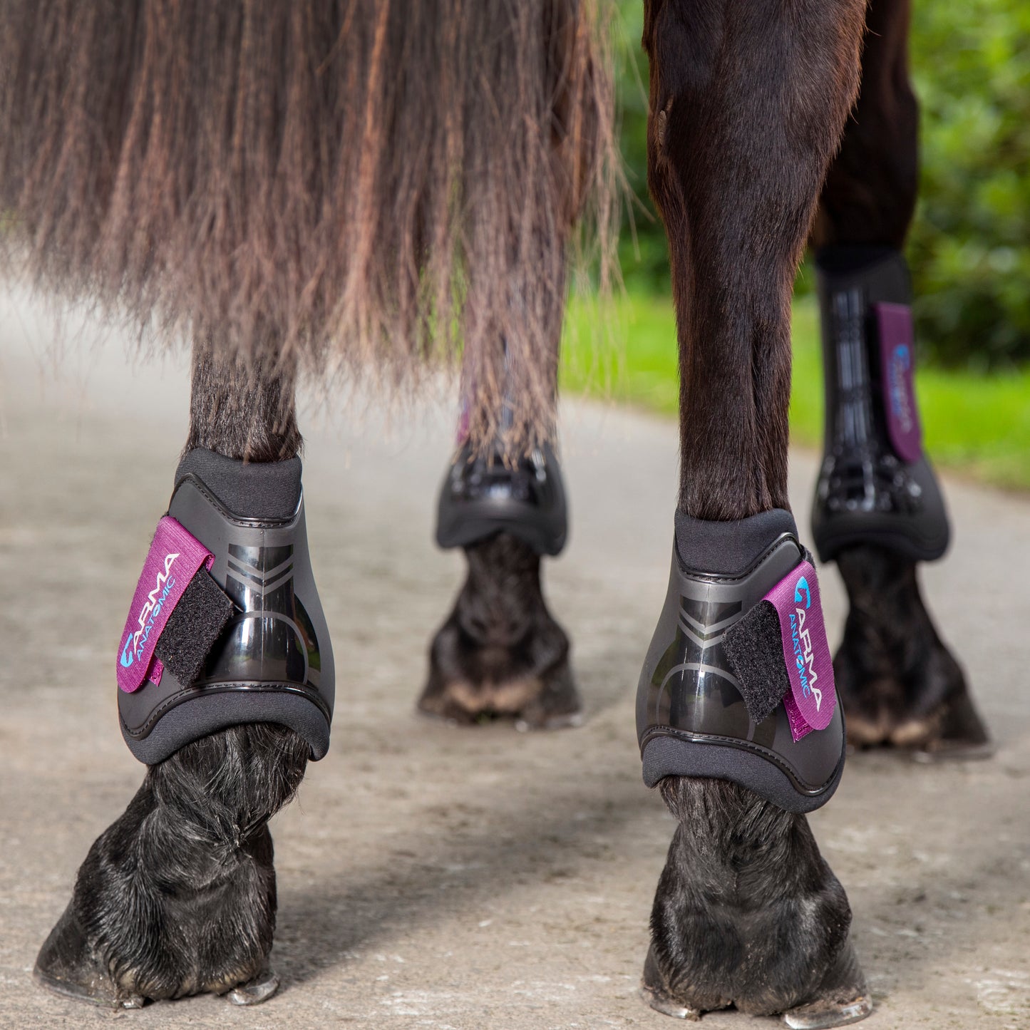 Shires Arma Fetlock Boots