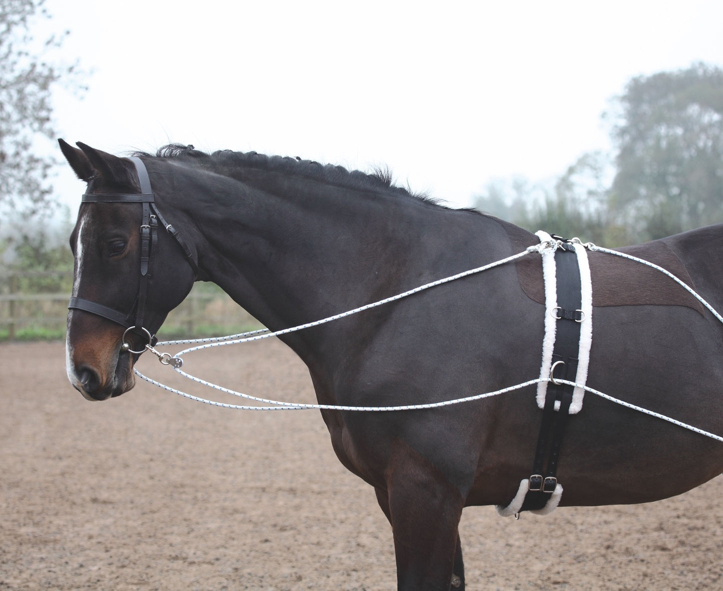 Shires ARMA Lunging Aid
