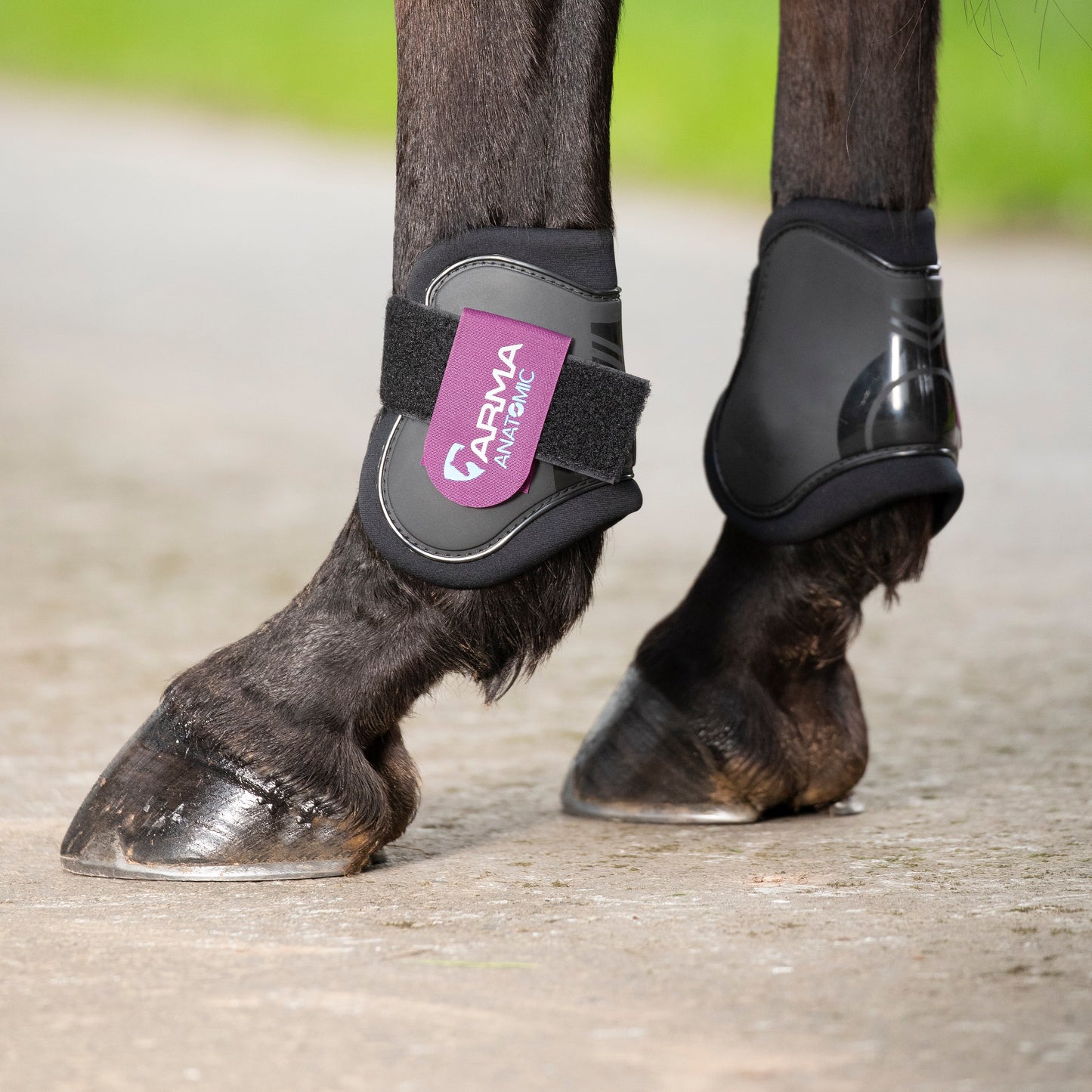 Shires Arma Fetlock Boots