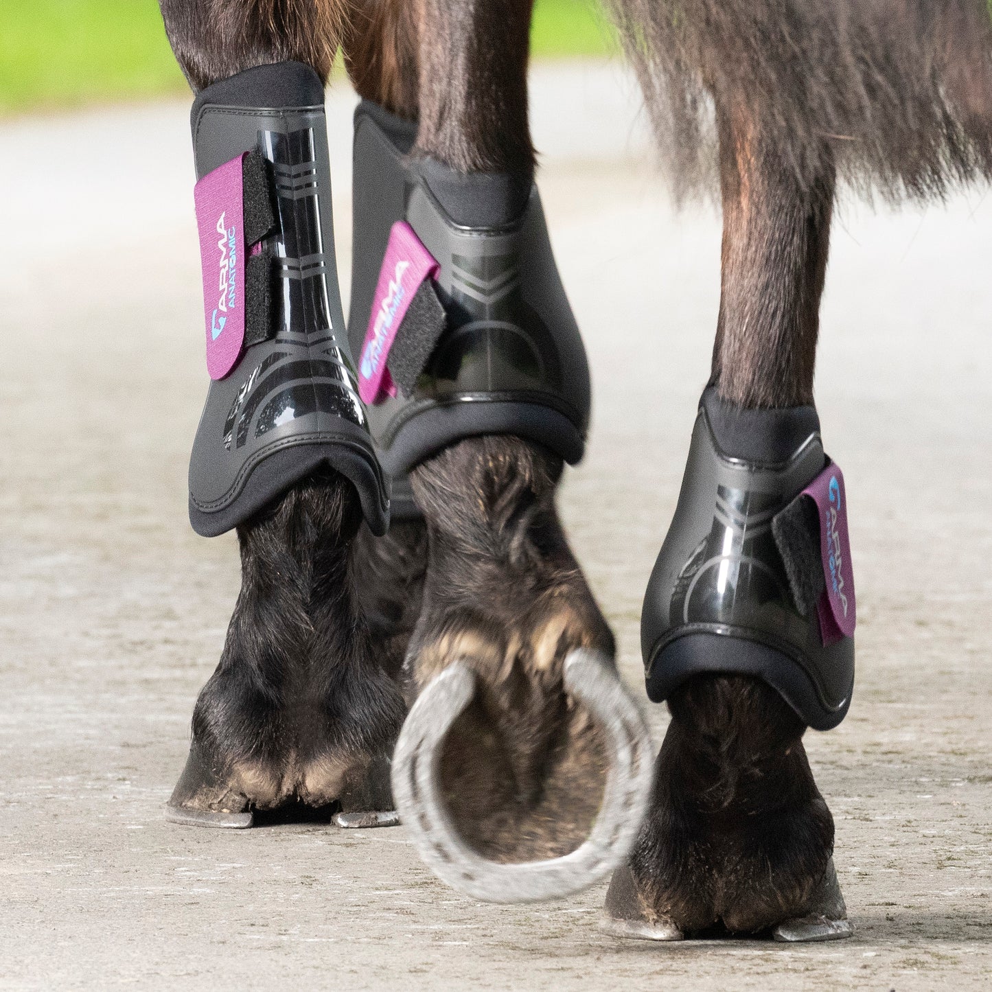 Shires Arma Fetlock Boots