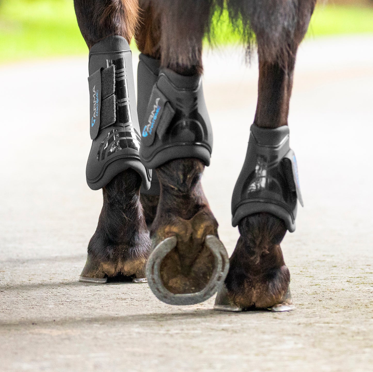 Shires ARMA Tendon Boots
