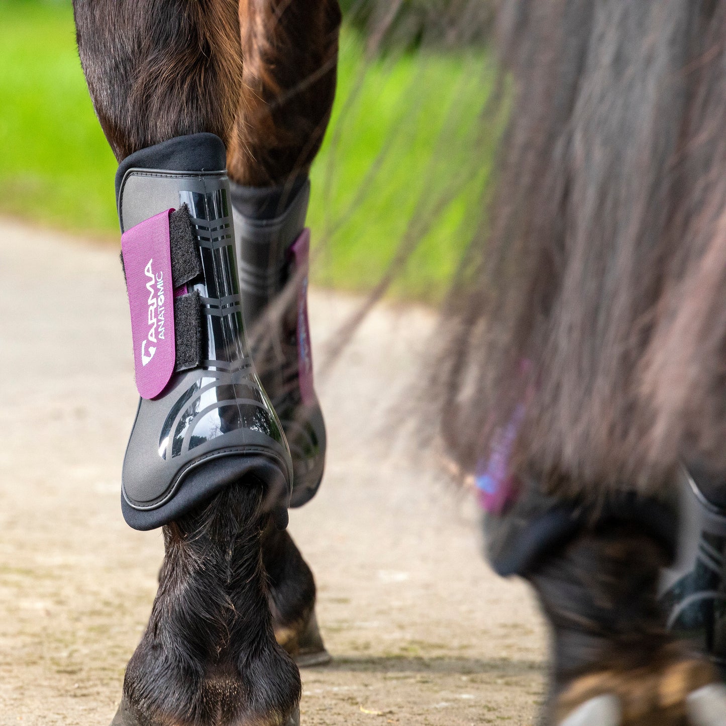 Shires ARMA Tendon Boots