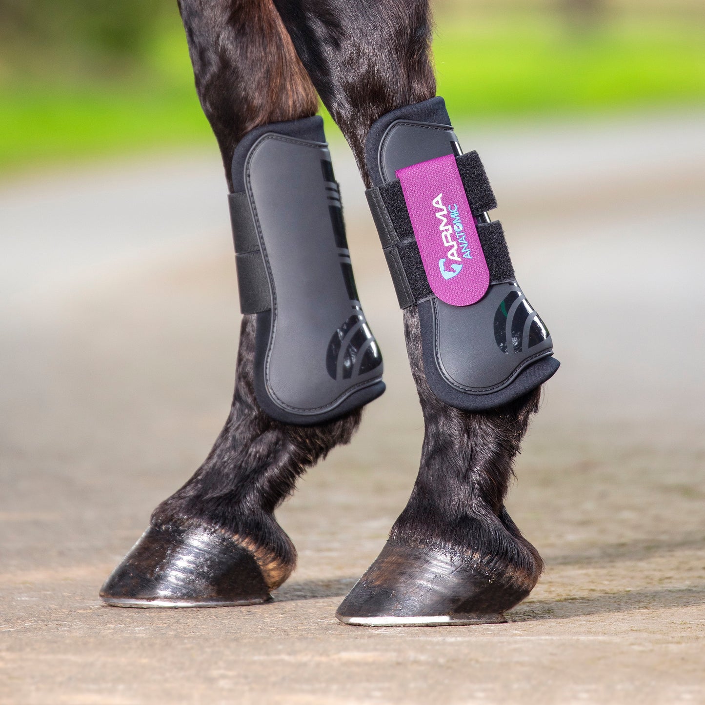 Shires ARMA Tendon Boots