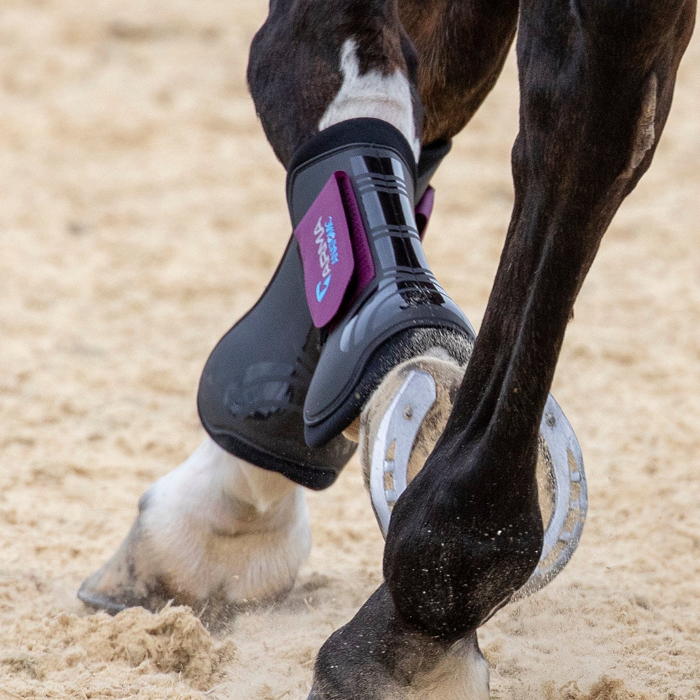 Shires ARMA Tendon Boots