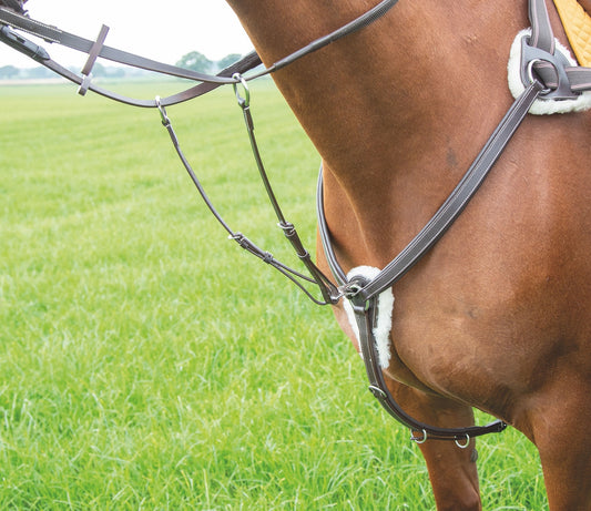 Shires Equestrian Avignon 5 Point Breastplate