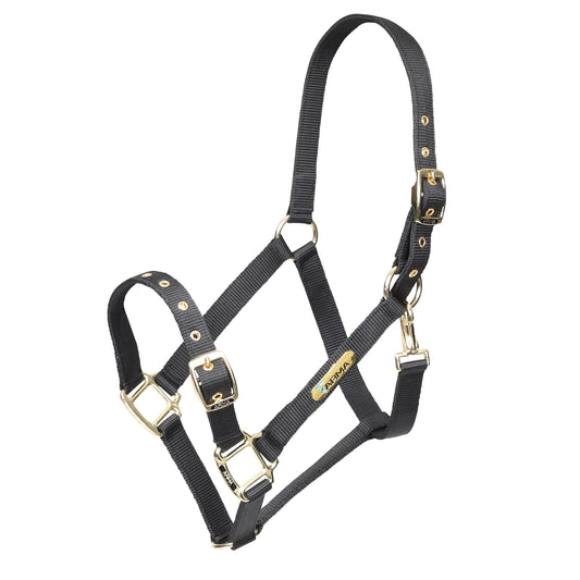 Shires Arma Adjustable Headcollar
