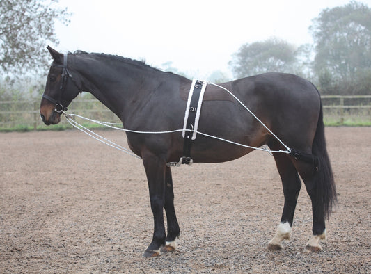 Shires ARMA Lunging Aid