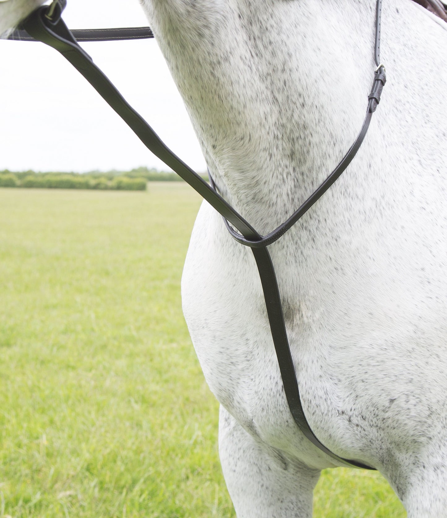 Shires Velociti Gara Standing Martingale