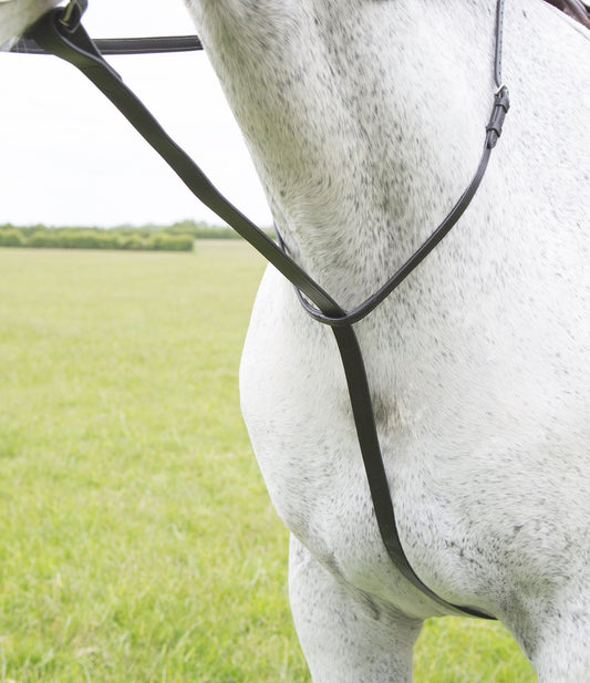 Shires Velociti Gara Standing Martingale