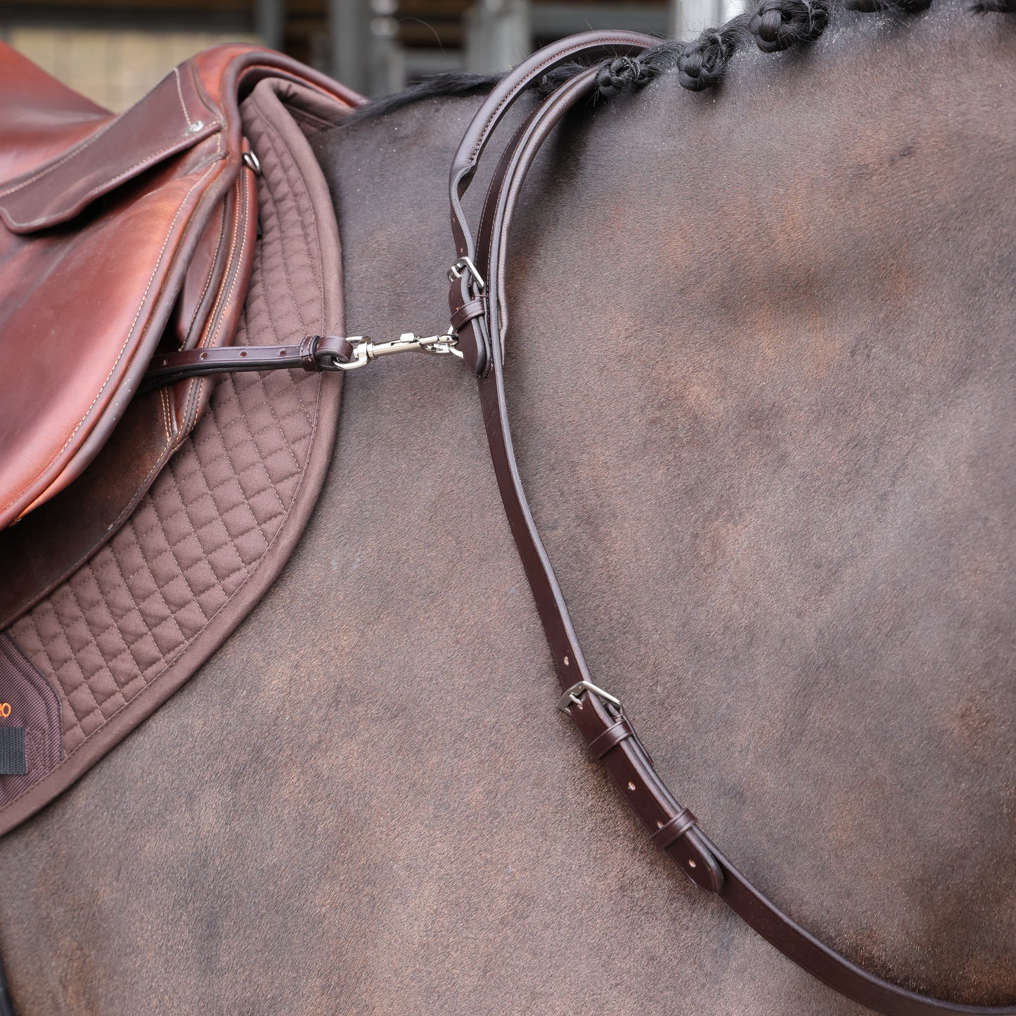 Shires Velociti Gara Neck Strap With Handle