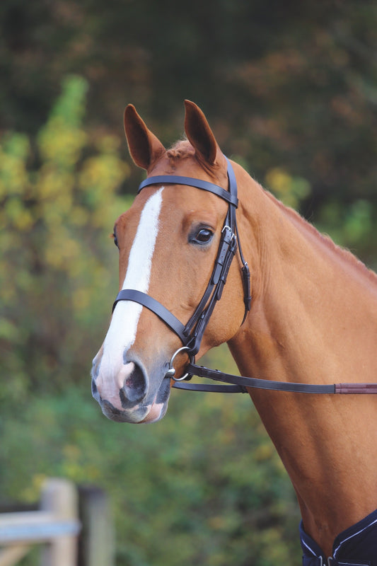 Shires Velociti Gara Plain Bridle