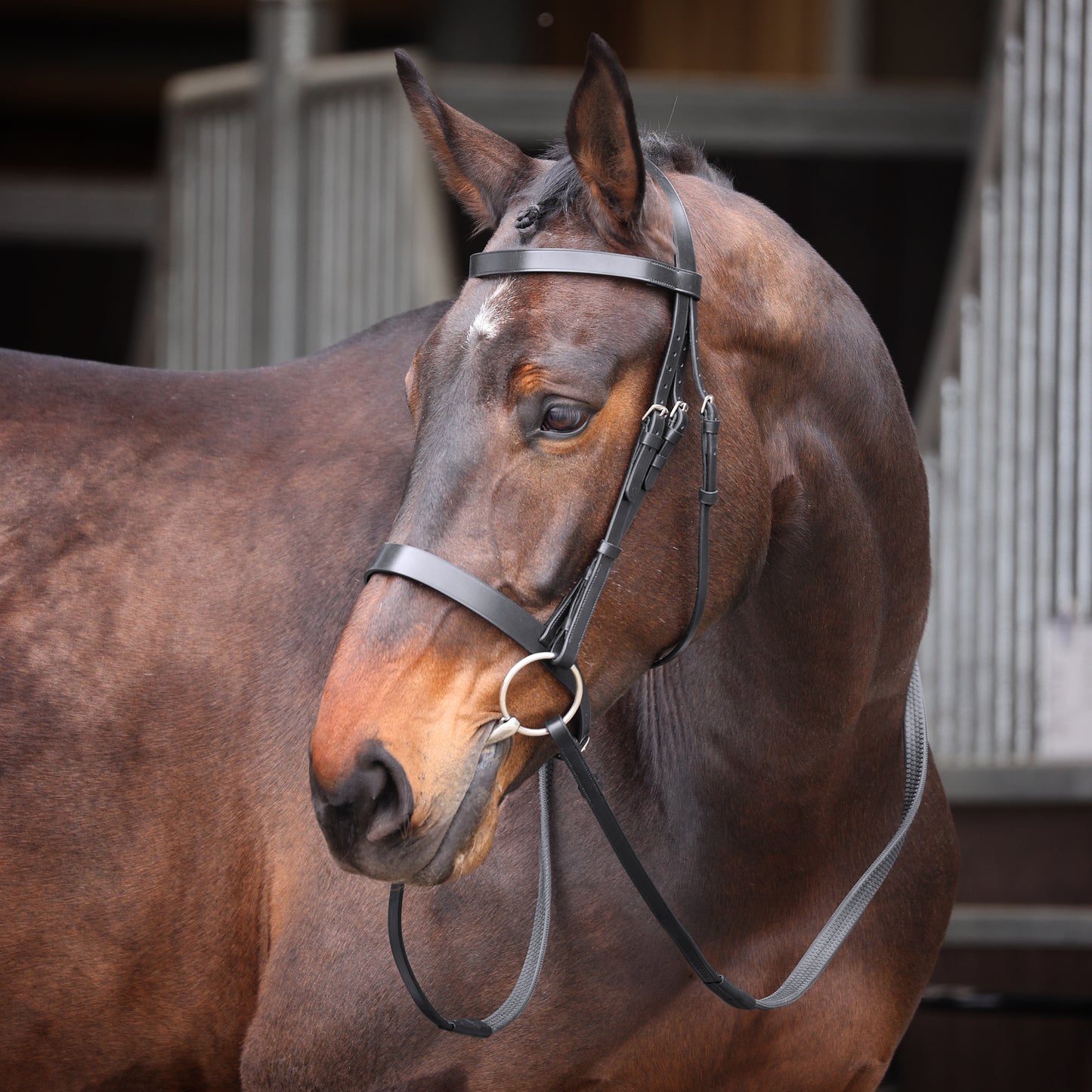 Shires Velociti Gara Plain Bridle