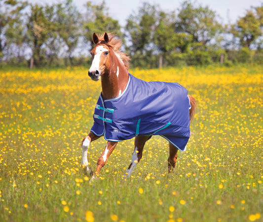 Shires Tempest Original 100 Turnout Rug