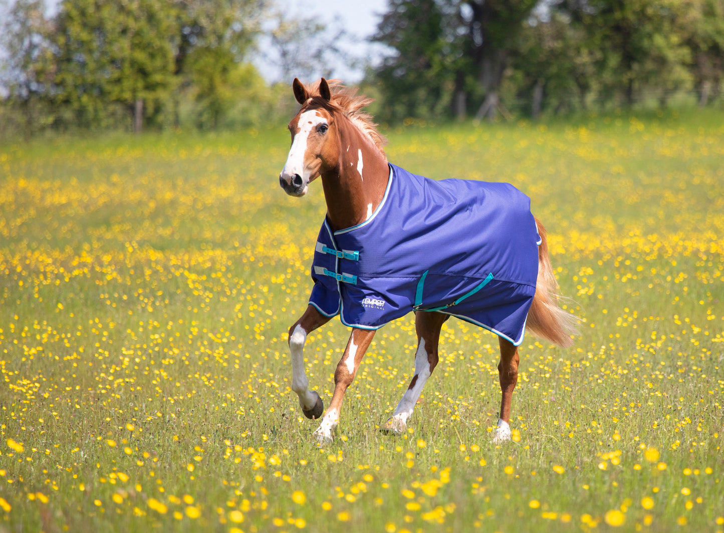 Shires Tempest Original 100 Turnout Rug