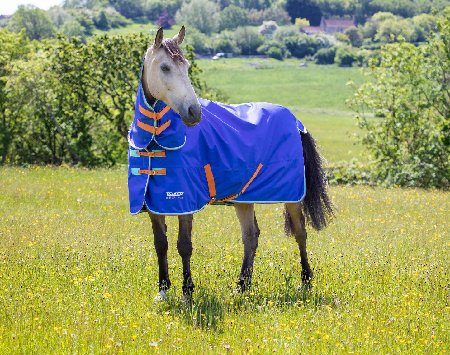 Shires Tempest Original 50 Combo Turnout Rug