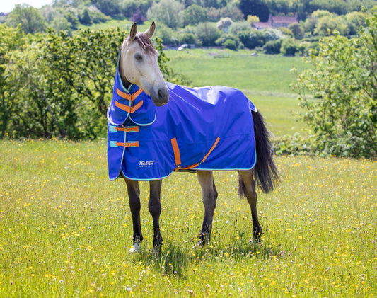 Shires Tempest Original 50 Combo Turnout Rug