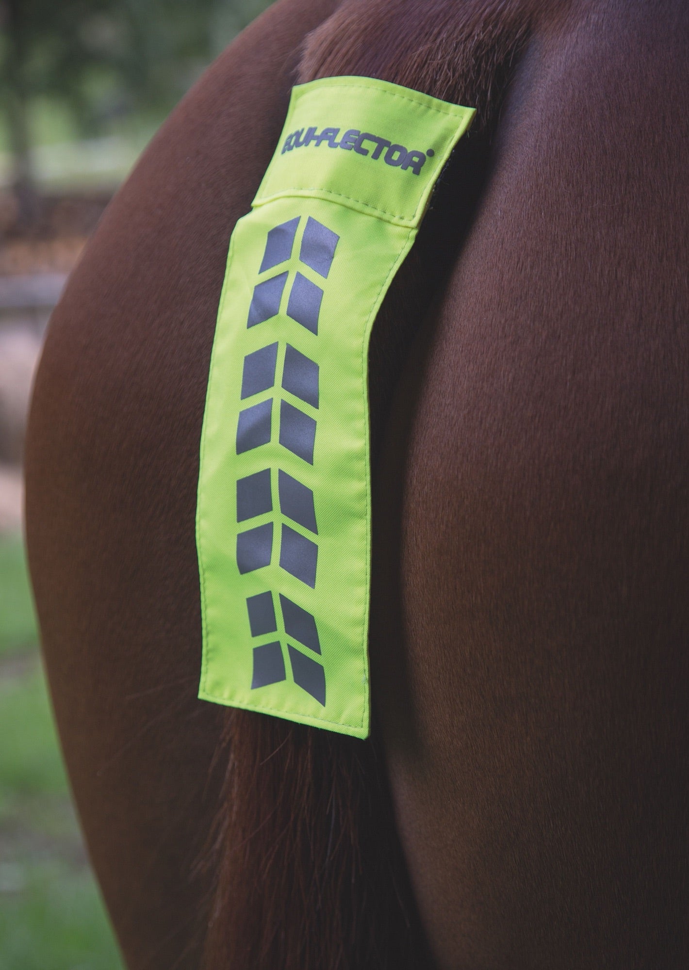 Shires Equi-Flector Tail Strap